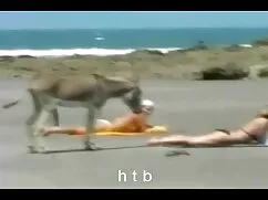 kadın türkçe konuşmalı ev pornosu